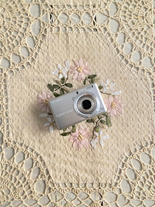 𝓢𝓸𝓷𝔂 𝓒𝔂𝓫𝓮𝓻𝓼𝓱𝓸𝓽 𝓓𝓢𝓒-𝓢750